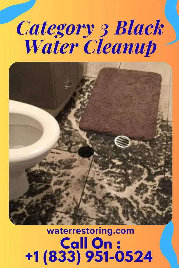 Category 3 Black Water Cleanup in Lewis and Clark Village, MO