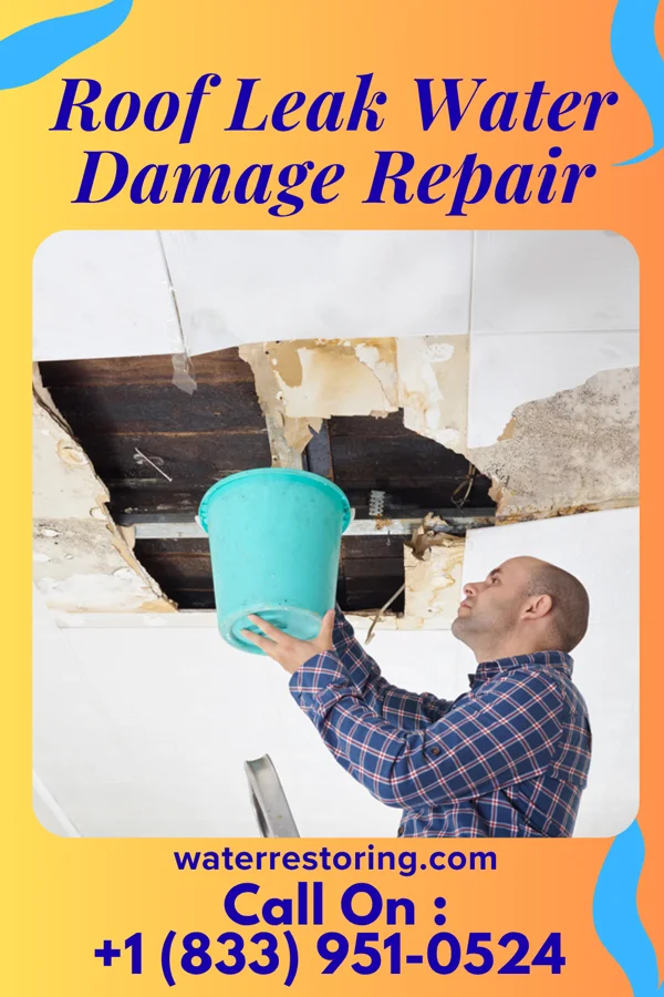 Roof Leak Water Damage Repair in Lewis and Clark Village, MO