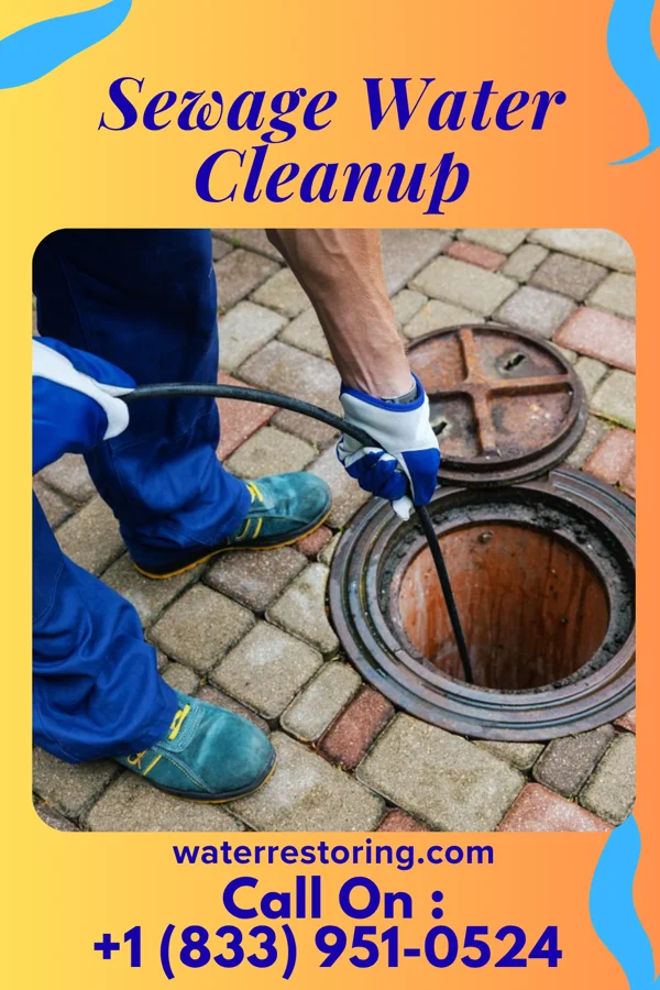 Sewage Water Cleanup in Lewis and Clark Village, MO