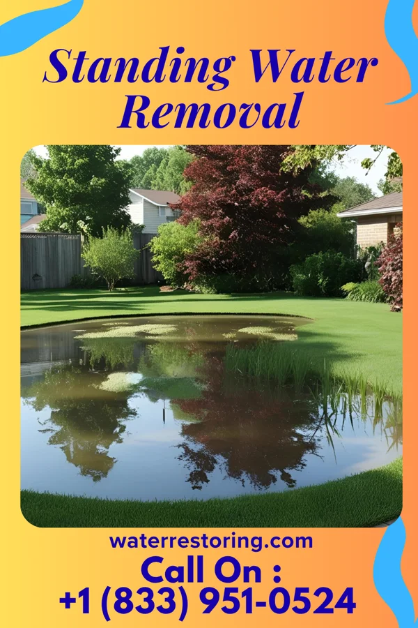 Standing Water Removal in Lewis and Clark Village, MO